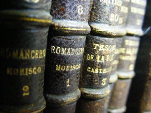 biblioteca 028 copy.jpg